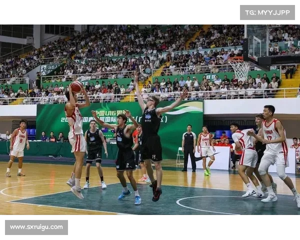 篮球赛事euro;篮球赛事CBA